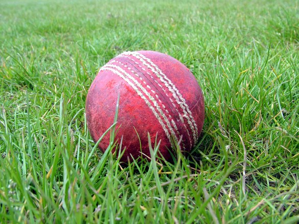 Cricket Ball in Grass