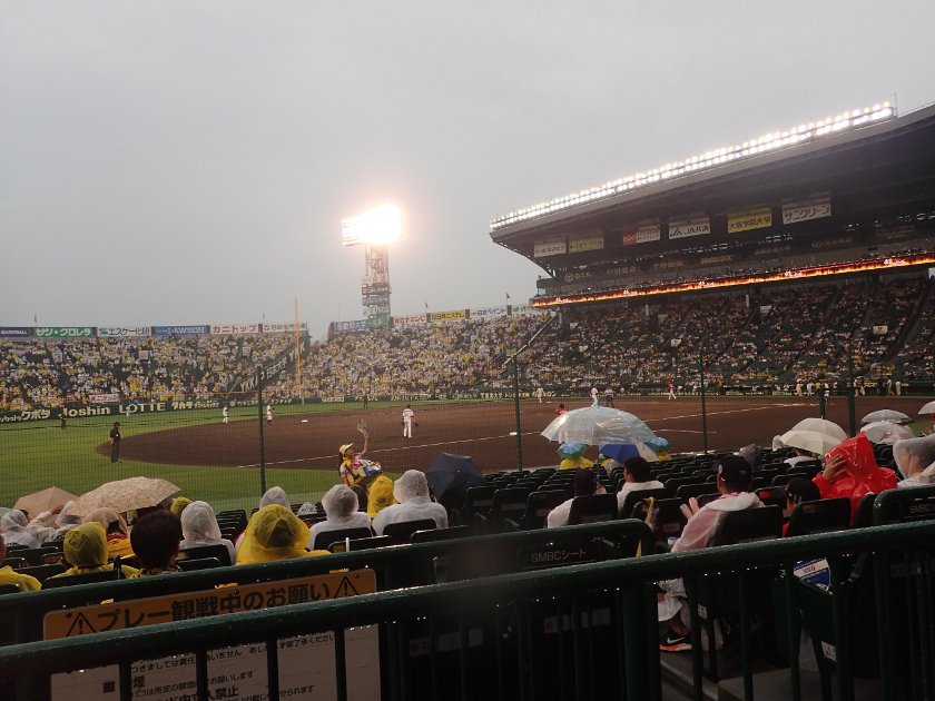 Baseball