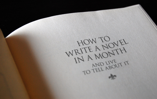Novel