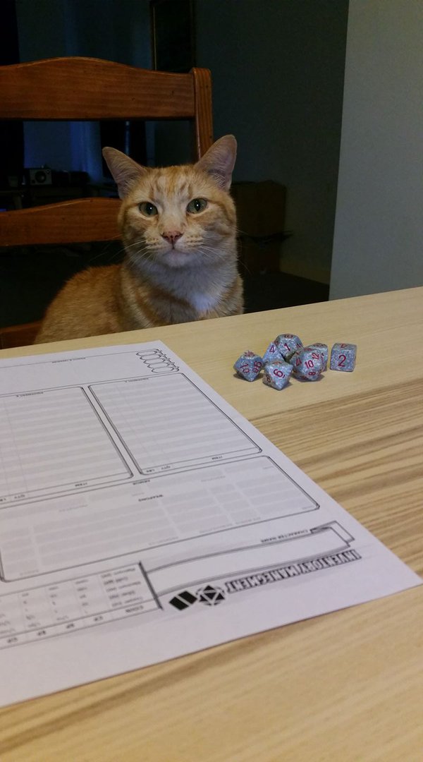 Gerald the Cat
