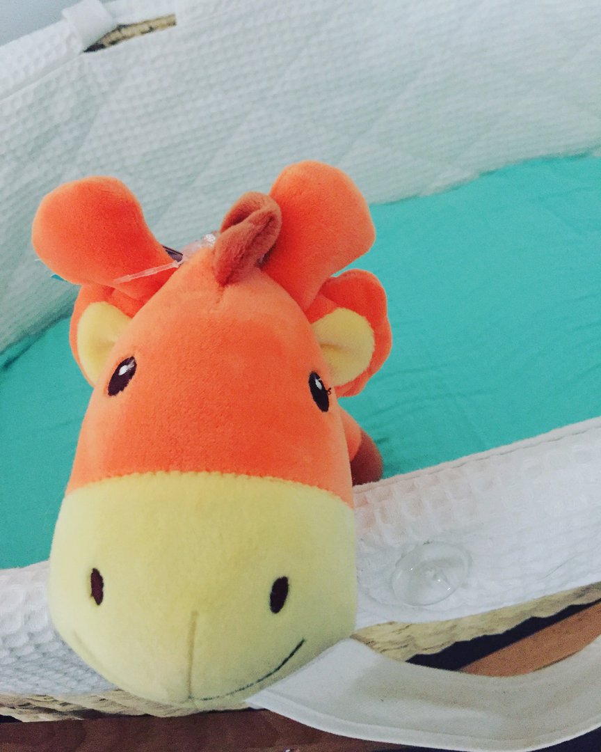 Giraffe Plushy in Bassinet