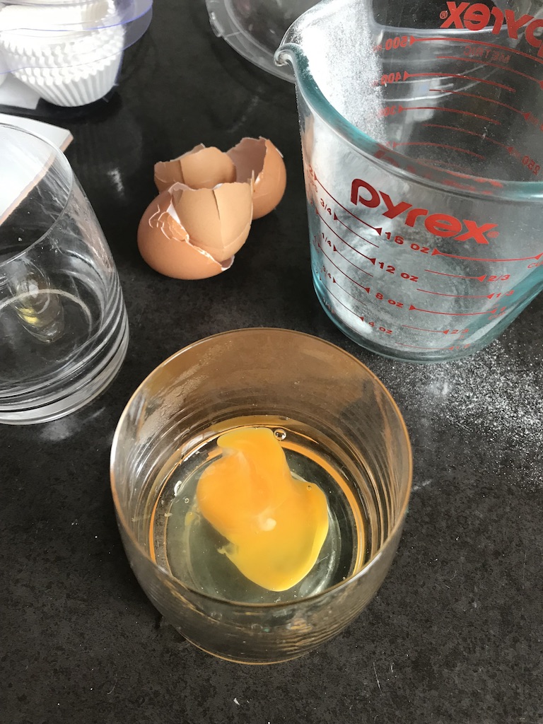 Egg