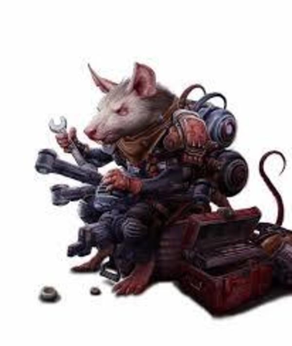 Rat