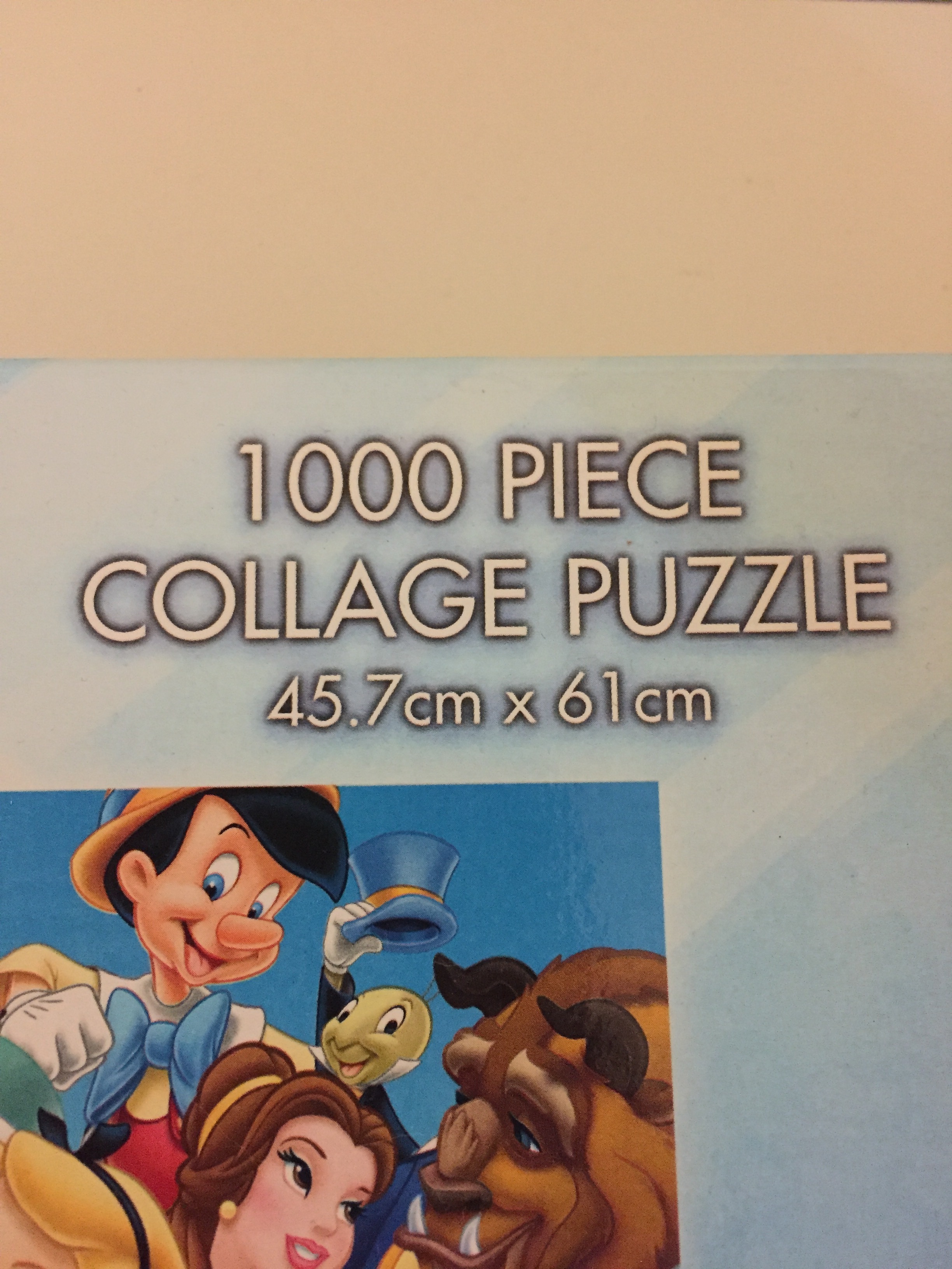 Puzzle box